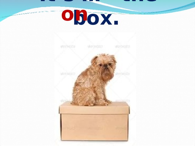 on  It’s … the box. 