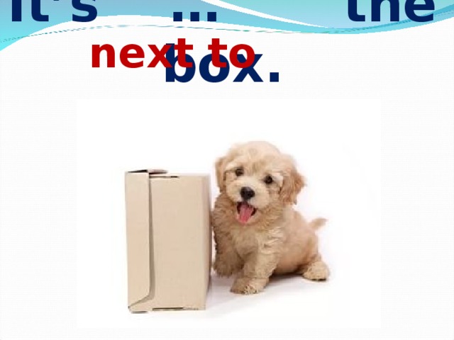  next to It’s … the box. 