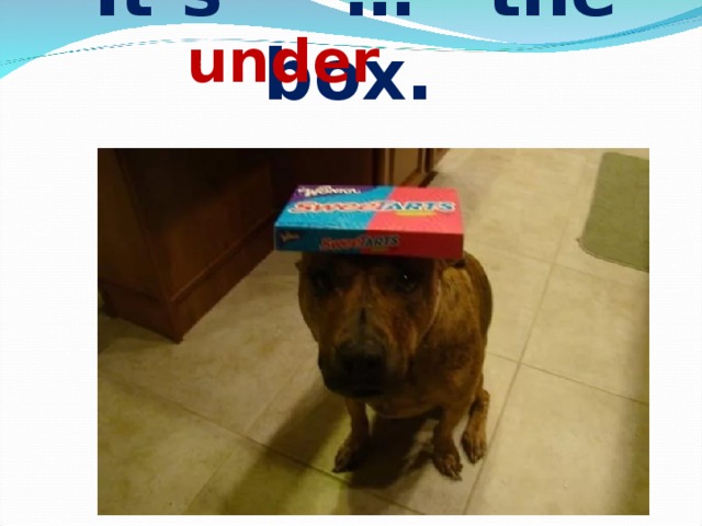  It’s … the box. under 