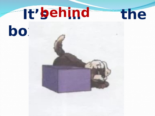 behind  It’s … the box. 