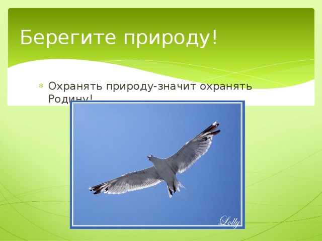 Берегите природу! Охранять природу-значит охранять Родину! 