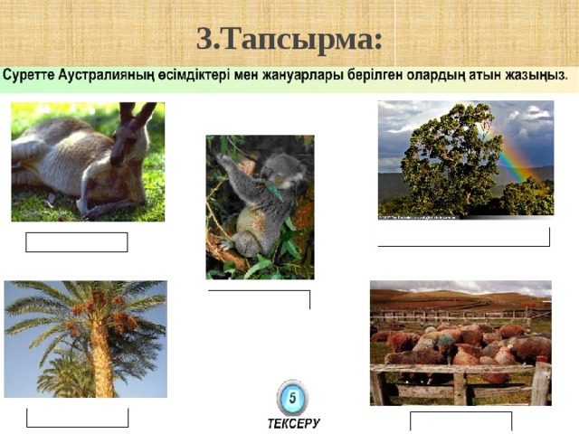 3.Тапсырма: 