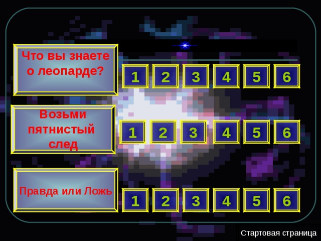  Что вы знаете о леопарде?  2 6 5 3 4 1   Возьми пятнистый след  1 4 6 2 3 5 Правда или Ложь 5 2 4 3 1 6 Стартовая страница 