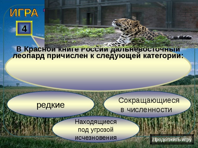 В Красной книге России дальневосточный леопард причислен к следующей категории: 4 Сокращающиеся  в численности редкие Находящиеся  под угрозой исчезновения Продолжить игру 