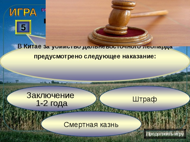 В Китае за убийство дальневосточного леопарда предусмотрено следующее наказание: 5 Штраф Заключение 1-2 года Смертная казнь Продолжить игру 