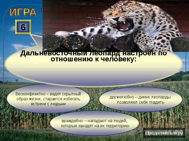  Дальневосточный леопард настроен по отношению к человеку: 6 бесконфликтно – ведёт скрытный  образ жизни, старается избегать встречи с людьми дружелюбно – дикие леопарды позволяют себя гладить враждебно – нападают на людей,  которые заходят на их территорию Продолжить игру 