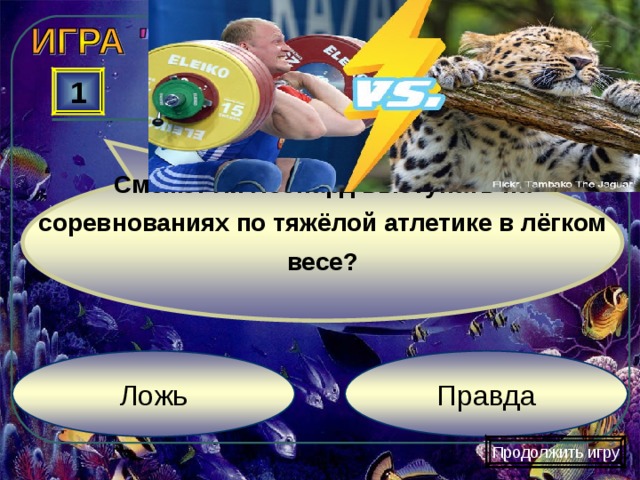 Сможет ли леопард выступать на соревнованиях по тяжёлой атлетике в лёгком весе? 1 Правда Ложь Продолжить игру 