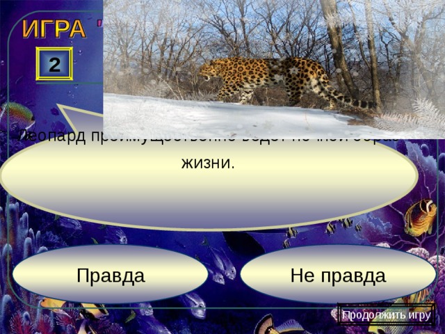 Леопард преимущественно ведет ночной образ жизни. 2 Не правда Правда Продолжить игру 
