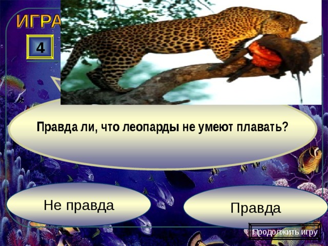   Правда ли, что леопарды не умеют плавать? 4 Не правда Правда Продолжить игру 