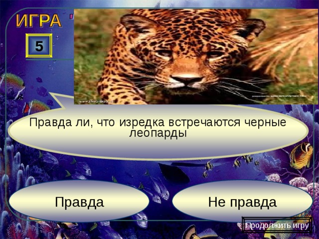 Правда ли, что изредка встречаются черные леопарды 5 Не правда Правда Продолжить игру 
