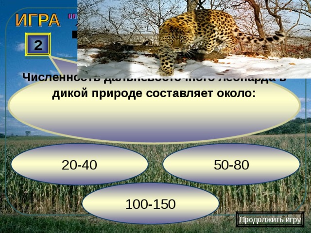 Численность дальневосточного леопарда в дикой природе составляет около: 2 50-80 20-40 100-150 Продолжить игру 