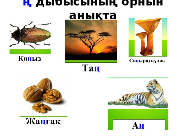 ң дыбысының орнын анықта 
