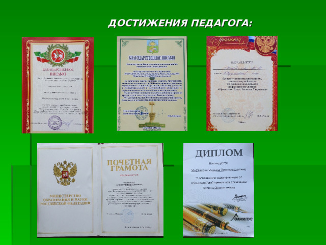   ДОСТИЖЕНИЯ ПЕДАГОГА:          