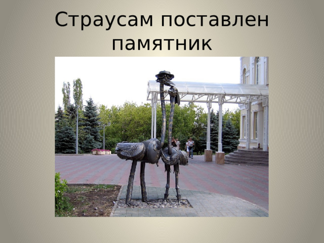 Страусам поставлен памятник 