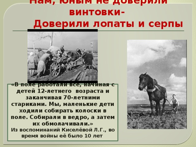 Нам, юным не доверили винтовки-    Доверили лопаты и серпы «В поле работали все, начиная с детей 12-летнего возраста и заканчивая 70-летними стариками. Мы, маленькие дети ходили собирать колоски в поле. Собирали в ведро, а затем их обмолачивали.» Из воспоминаний Киселёвой Л.Г., во время войны её было 10 лет 