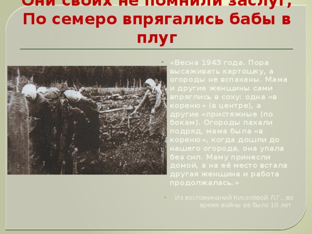 Они своих не помнили заслуг,  По семеро впрягались бабы в плуг «Весна 1943 года. Пора высаживать картошку, а огороды не вспаханы. Мама и другие женщины сами впряглись в соху: одна «в кореню» (в центре), а другие «пристяжные (по бокам). Огороды пахали подряд, мама была «в кореню», когда дошли до нашего огорода, она упала без сил. Маму принесли домой, а на её место встала другая женщина и работа продолжалась.» Из воспоминаний Киселёвой Л.Г., во время войны её было 10 лет 