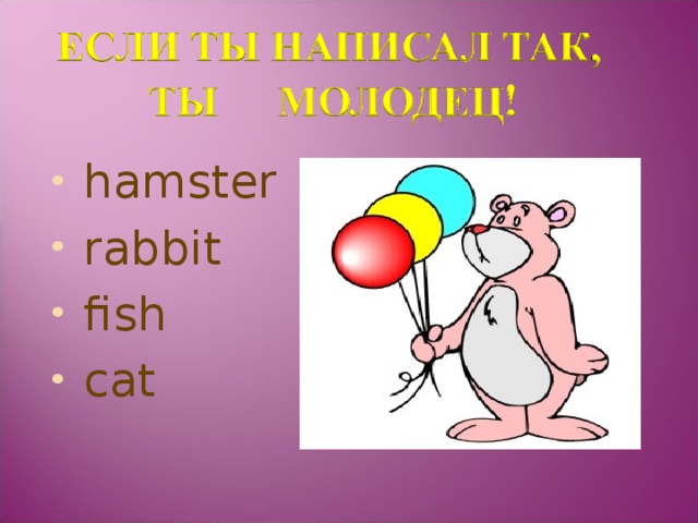 hamster rabbit fish cat 