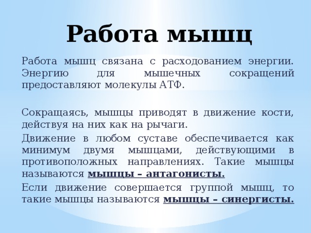 Работа мышц Работа мышц связана с расходованием энергии. Энергию для мышечных сокращений предоставляют молекулы АТФ. Сокращаясь, мышцы приводят в движение кости, действуя на них как на рычаги. Движение в любом суставе обеспечивается как минимум двумя мышцами, действующими в противоположных направлениях. Такие мышцы называются мышцы – антагонисты. Если движение совершается группой мышц, то такие мышцы называются мышцы – синергисты. 