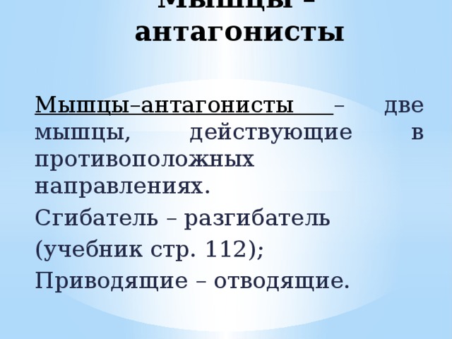 Мышцы – антагонисты  Мышцы–антагонисты – две мышцы, действующие в противоположных направлениях. Сгибатель – разгибатель (учебник стр. 112); Приводящие – отводящие. 