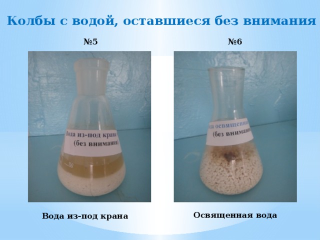 Колбы с водой, оставшиеся без внимания № 5 № 6 Освященная вода Вода из-под крана 