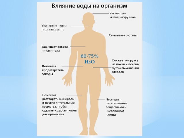 60-75% H 2 O 