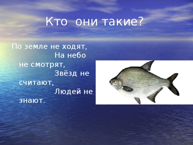  Кто они такие? По земле не ходят,  На небо не смотрят,  Звёзд не считают,  Людей не знают. 