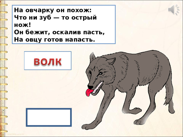 На овчарку он похож:  Что ни зуб — то острый нож!  Он бежит, оскалив пасть,  На овцу готов напасть. 