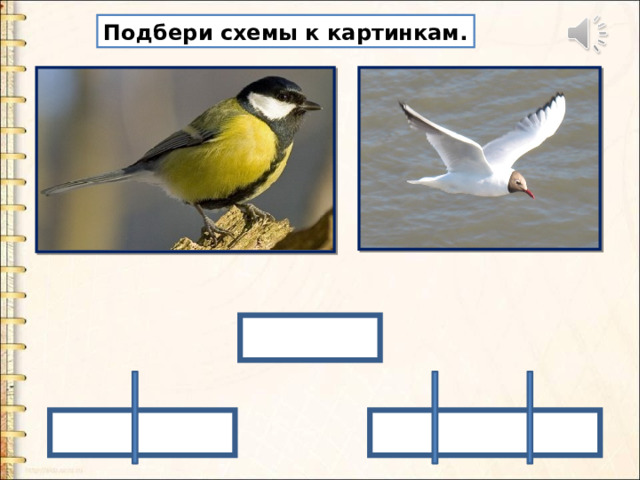 Подбери схемы к картинкам. 