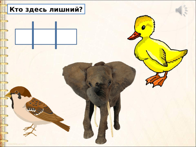 Кто здесь лишний? 