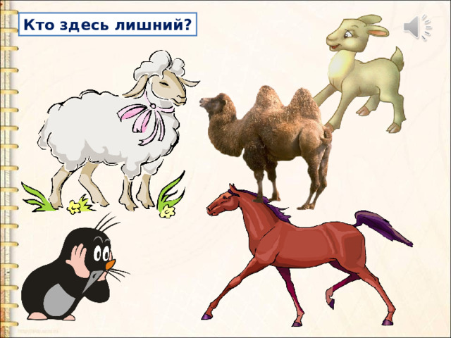 Кто здесь лишний? 