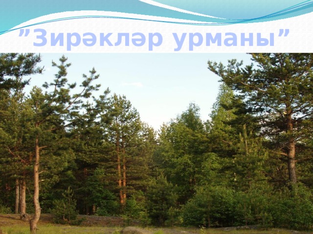 ” Зирәкләр урманы” 