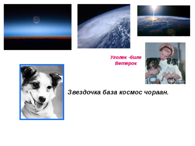 Уголек -биле Ветерок Звездочка база космос чораан. 