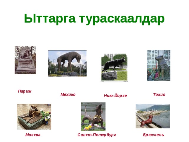 Ыттарга тураскаалдар Париж  Мехико  Токио  Нью-Йорке  Москва  Брюссель  Санкт-Петербург 