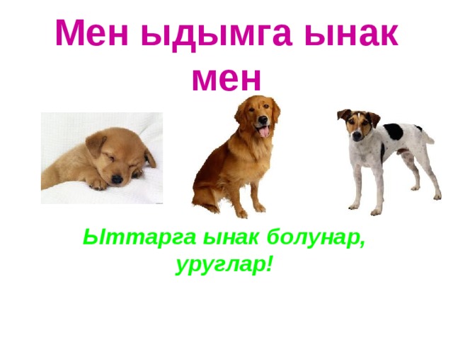Мен ыдымга ынак мен Ыттарга ынак болунар, уруглар! 
