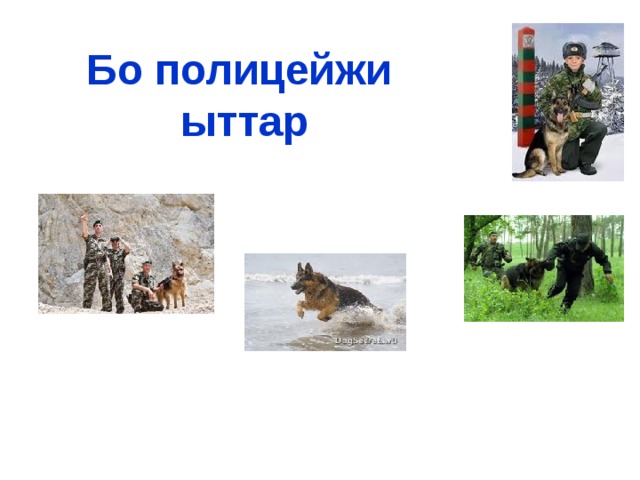 Бо полицейжи ыттар 