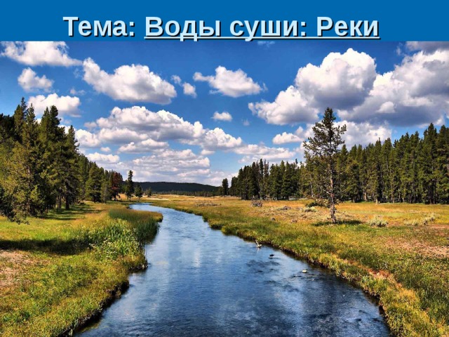 Тема: Воды суши: Реки  