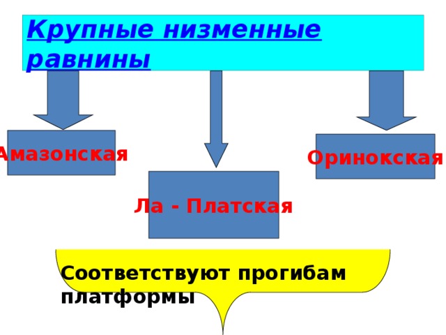 Крупные низменные равнины Амазонская Оринокская Ла - Платская Соответствуют прогибам платформы 