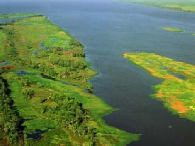 Амазонская низменность. 