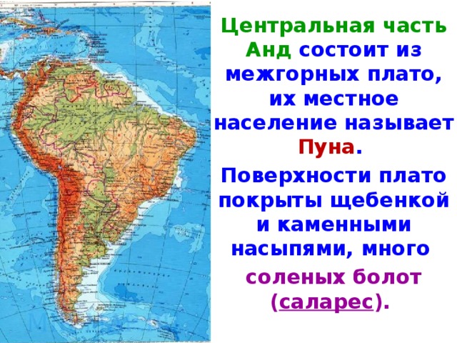 Центральная часть Анд состоит из межгорных плато, их местное население называет Пуна . Поверхности плато покрыты щебенкой и каменными насыпями, много соленых болот ( саларес ). 