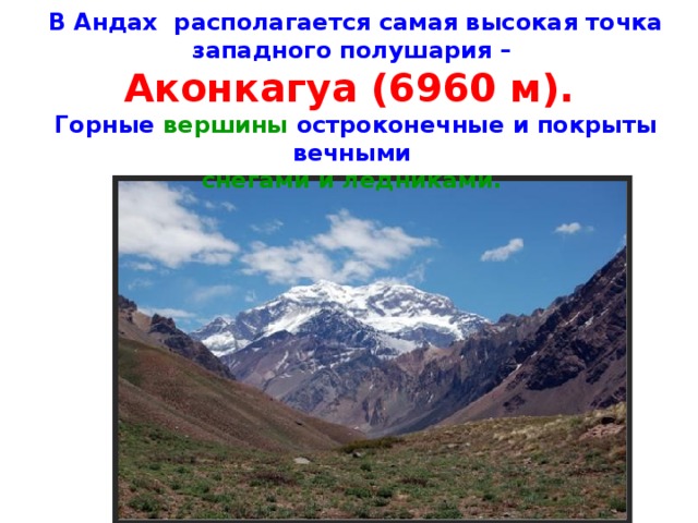В Андах располагается самая вы­сокая точка западного полушария – Аконкагуа (6960 м). Горные вер­шины остроконечные и покрыты вечными снегами и ледниками. 