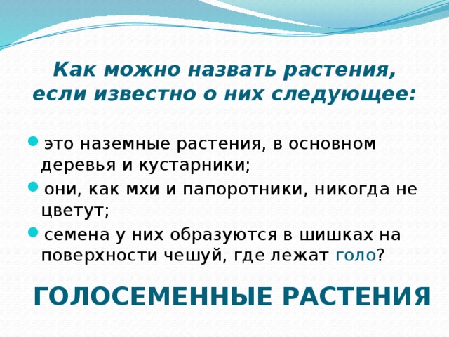 Как можно назвать растения, если известно о них следующее: это наземные растения, в основном деревья и кустарники; они, как мхи и папоротники, никогда не цветут; семена у них образуются в шишках на поверхности чешуй, где лежат голо ? ГОЛОСЕМЕННЫЕ РАСТЕНИЯ 
