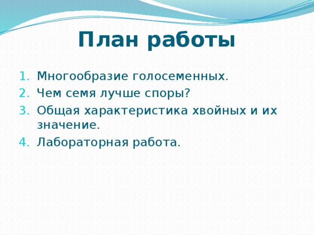 План работы Многообразие голосеменных. Чем семя лучше споры? Общая характеристика хвойных и их значение. Лабораторная работа. 