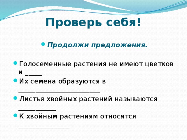 Проверь себя! Продолжи предложения.  Голосеменные растения не имеют цветков и _____ Их семена образуются в ________________________ Листья хвойных растений называются ___________ К хвойным растениям относятся _______________ 
