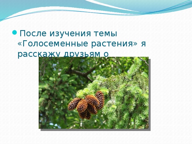 После изучения темы «Голосеменные растения» я расскажу друзьям о _______ 