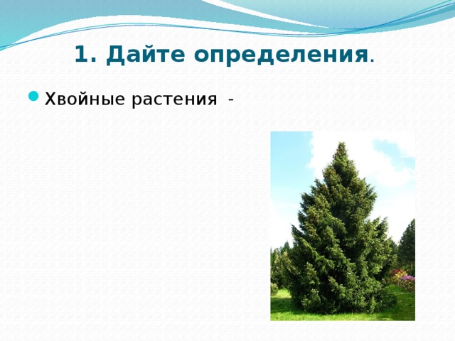 1. Дайте определения . Хвойные растения - 