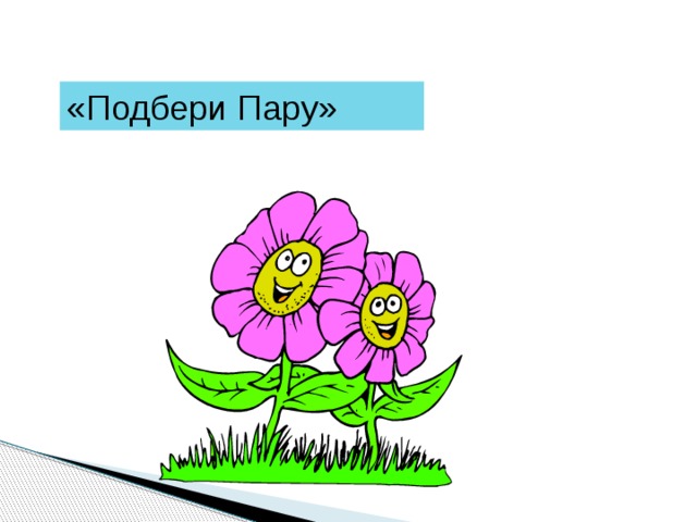«Подбери Пару» 