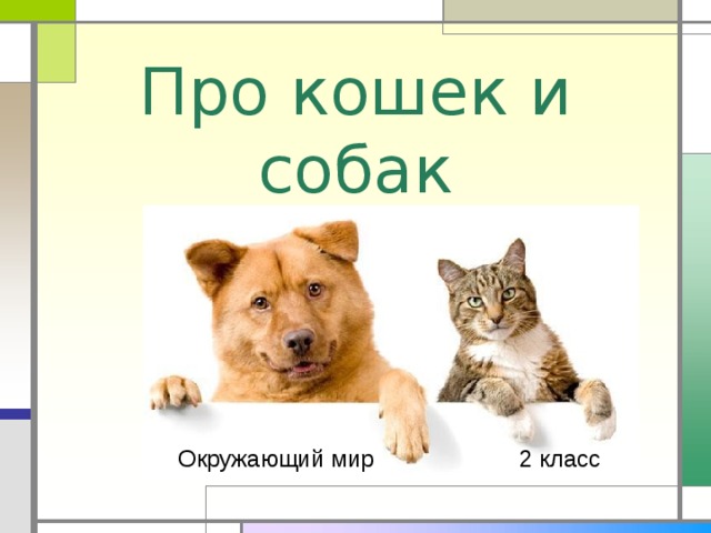 Про кошек и собак Окружающий мир 2 класс 
