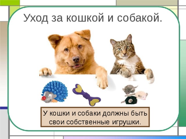 Уход за кошкой и собакой. У кошки и собаки должны быть свои собственные игрушки. 