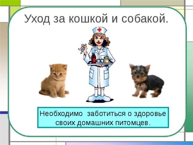 Уход за кошкой и собакой. Необходимо заботиться о здоровье своих домашних питомцев. 