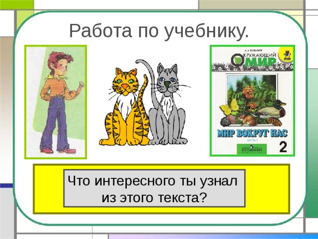 Работа по учебнику. Прочитай текст «Кошки» в учебнике на стр.80. Что интересного ты узнал из этого текста? 
